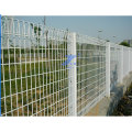 Double Loop Garden Fencing (TS-L61)